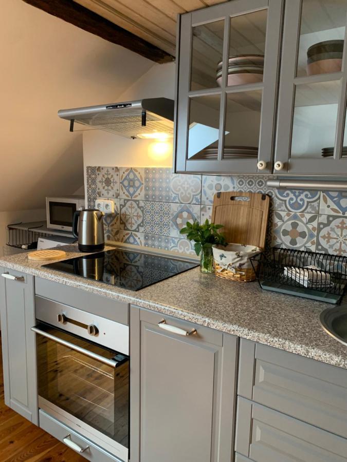 Apartman Jachymov Klinovec エクステリア 写真